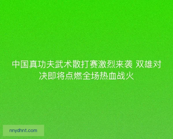 中国真功夫武术散打赛激烈来袭 双雄对决即将点燃全场热血战火 中国真功夫武术散打赛激烈来袭 双雄对决即将点燃全场热血战火